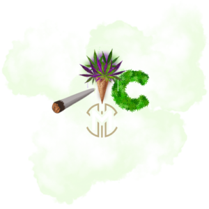 Ontwerp zonder titel (44)